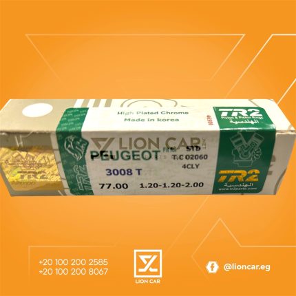 طقم شنابر موتور 3008II